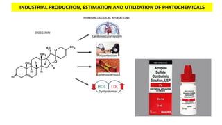 INDUSTRIAL PRODUCTION, ESTIMATION AND UTILIZATION OF PHYTOCHEMICALS
 