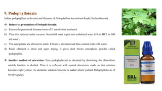 9. Podophyllotoxin
Indian podophyllum is the root and rhizome of Podophyllum hexandrum Royle (Berberidaceae)
 Industrial production of Podophyllotoxin:
a) Extract the powdered rhizome/roots of P. emodi with methanol.
b) Then it is reduced under vacuum. Semisolid mass is put into acidulated water (10 ml HCL in 100
ml water).
c) The precipitates are allowed to settle. Filtrate is decanted and then washed with cold water.
d) Resin obtained is dried and upon drying, it gives dark brown amorphous powder called
podophyllin.
 Another method of extraction: Pure podophyllotxin is obtained by dissolving the chloroform
soluble fraction in alcohol. Then it is refluxed with neutral aluminium oxide so that solution
becomes light yellow. To alcoholic solution benzene is added which yielded Podophyllotoxin of
95-98% purity.
 