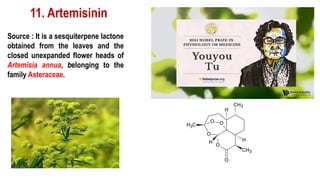 11. Artemisinin
Source : It is a sesquiterpene lactone
obtained from the leaves and the
closed unexpanded flower heads of
Artemisia annua, belonging to the
family Asteraceae.
 