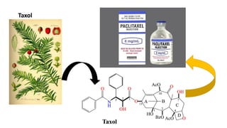 Taxol
 