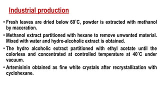 Industrial production
• Fresh leaves are dried below 60˚C, powder is extracted with methanol
by maceration.
• Methanol extract partitioned with hexane to remove unwanted material.
Mixed with water and hydro-alcoholic extract is obtained.
• The hydro alcoholic extract partitioned with ethyl acetate until the
colorless and concentrated at controlled temperature at 40˚C under
vacuum.
• Artemisinin obtained as fine white crystals after recrystallization with
cyclohexane.
 