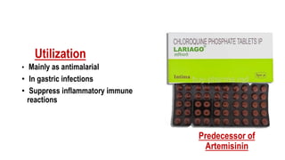Utilization
• Mainly as antimalarial
• In gastric infections
• Suppress inflammatory immune
reactions
Predecessor of
Artemisinin
 