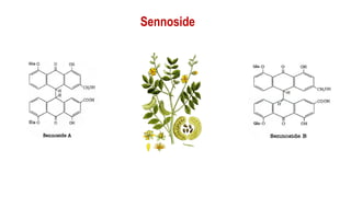 Sennoside
 