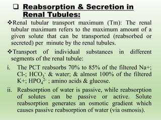  Reabsorption & Secretion in
Renal Tubules:
Renal tubular transport maximum (Tm): The renal
tubular maximum refers to the maximum amount of a
given solute that can be transported (reabsorbed or
secreted) per minute by the renal tubules.
Transport of individual substances in different
segments of the renal tubule:
i. The PCT reabsorbs 70% to 85% of the filtered Na+;
Cl-; HCO3
- & water; & almost 100% of the filtered
K+; HPO4
2- ; amino acids & glucose.
ii. Reabsorption of water is passive, while reabsorption
of solutes can be passive or active. Solute
reabsorption generates an osmotic gradient which
causes passive reabsorption of water (via osmosis).
 