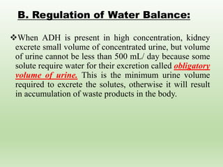 B. Regulation of Water Balance:
When ADH is present in high concentration, kidney
excrete small volume of concentrated urine, but volume
of urine cannot be less than 500 mL/ day because some
solute require water for their excretion called obligatory
volume of urine. This is the minimum urine volume
required to excrete the solutes, otherwise it will result
in accumulation of waste products in the body.
 