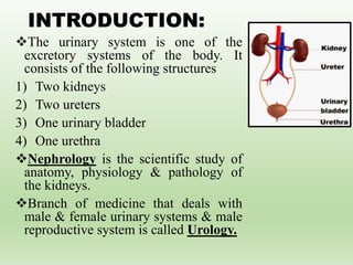 INTRODUCTION:
The urinary system is one of the
excretory systems of the body. It
consists of the following structures
1) Two kidneys
2) Two ureters
3) One urinary bladder
4) One urethra
Nephrology is the scientific study of
anatomy, physiology & pathology of
the kidneys.
Branch of medicine that deals with
male & female urinary systems & male
reproductive system is called Urology.
 