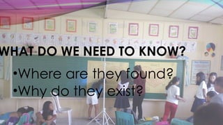 WHAT DO WE NEED TO KNOW?
•Where are they found?
•Why do they exist?
 