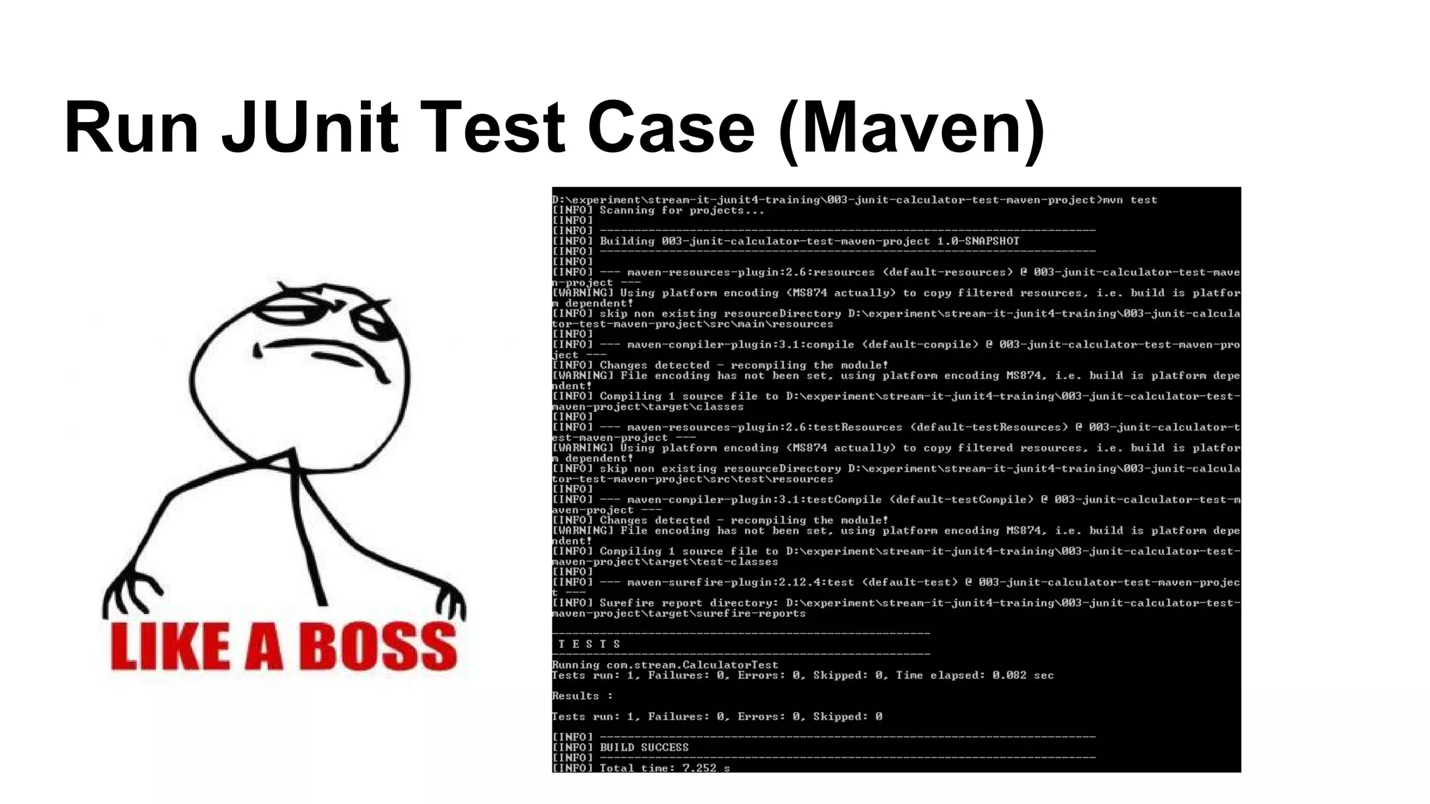 Run JUnit Test Case (Maven)
 