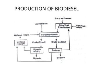 PRODUCTION OF BIODIESEL
 