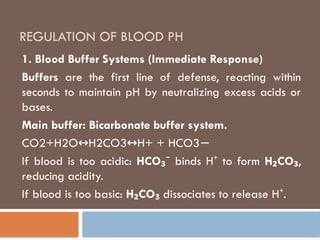 REGULATION OF BLOOD PH
1. Blood Buffer Systems (Immediate Response)
Buffers are the first line of defense, reacting within
seconds to maintain pH by neutralizing excess acids or
bases.
Main buffer: Bicarbonate buffer system.
CO2​
+H2​
O H2​
CO3​ H+
↔ ↔ + HCO3 ​
−
If blood is too acidic: HCO₃⁻ binds H to form
⁺ H CO
₂ ₃,
reducing acidity.
If blood is too basic: H CO
₂ ₃ dissociates to release H .
⁺
 