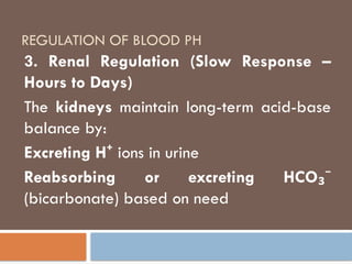 REGULATION OF BLOOD PH
3. Renal Regulation (Slow Response –
Hours to Days)
The kidneys maintain long-term acid-base
balance by:
Excreting H⁺ ions in urine
Reabsorbing or excreting HCO₃⁻
(bicarbonate) based on need
 