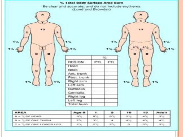 Bsa Burn Chart