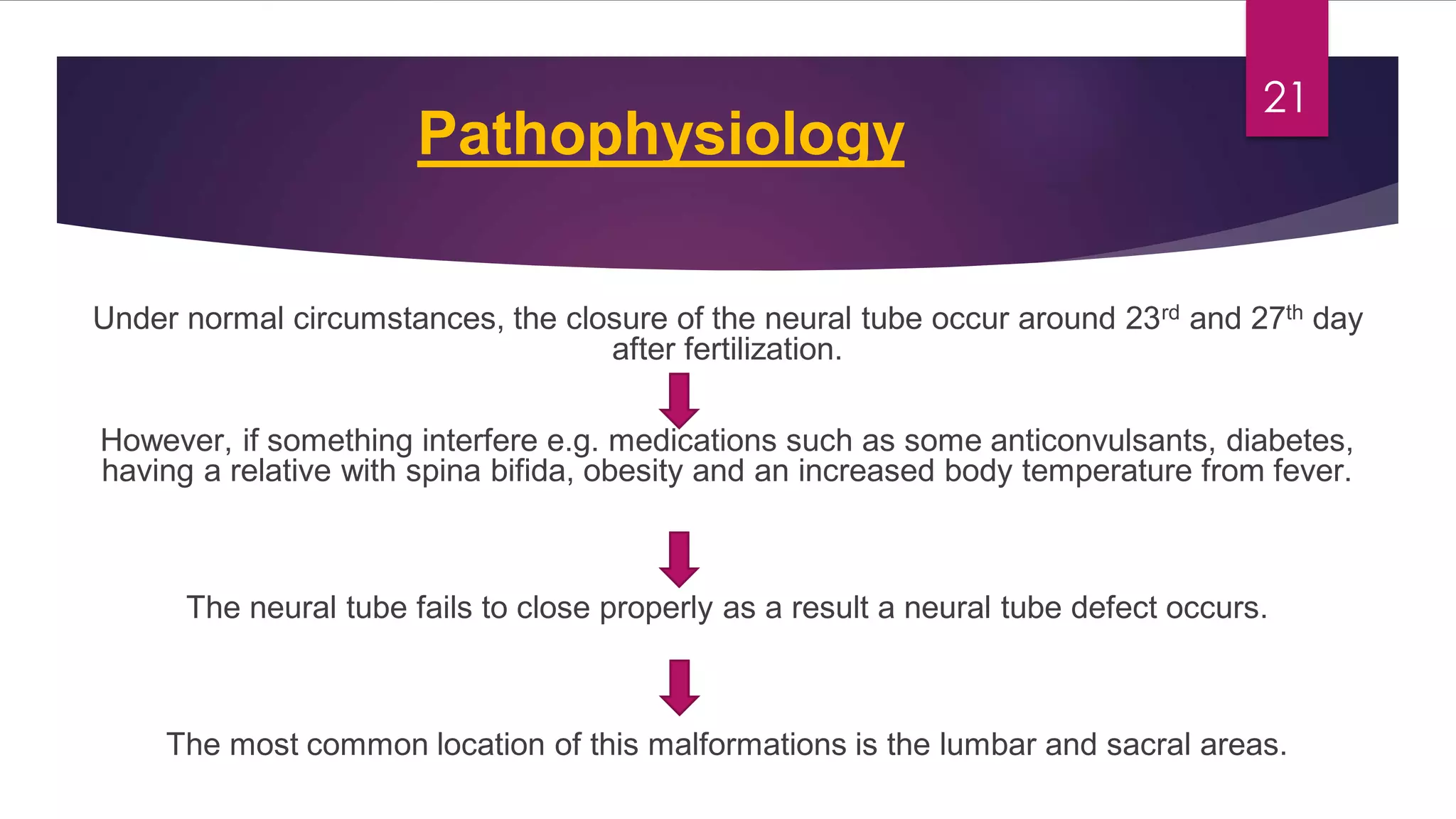 Congenital malformations of the central nervous system | PDF