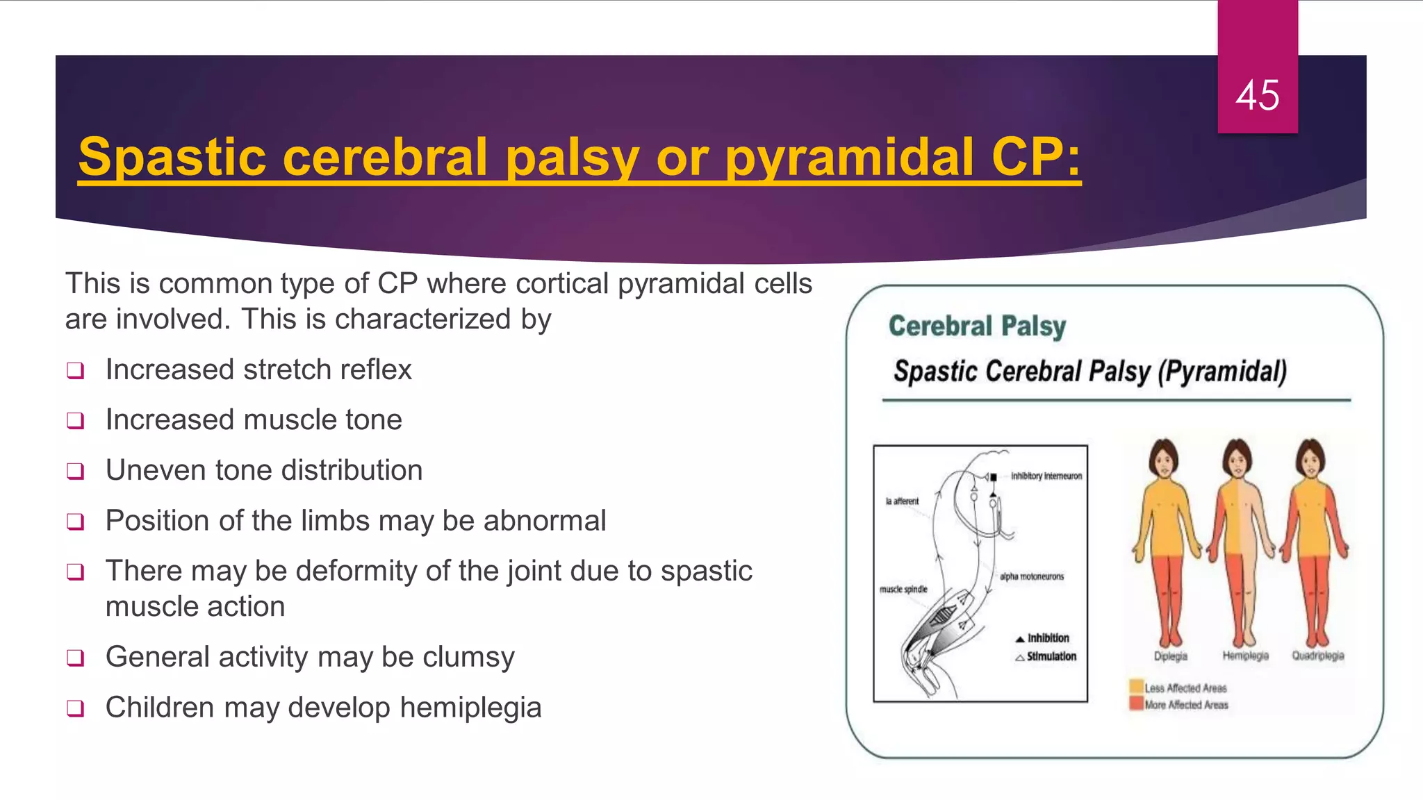 Congenital malformations of the central nervous system | PDF