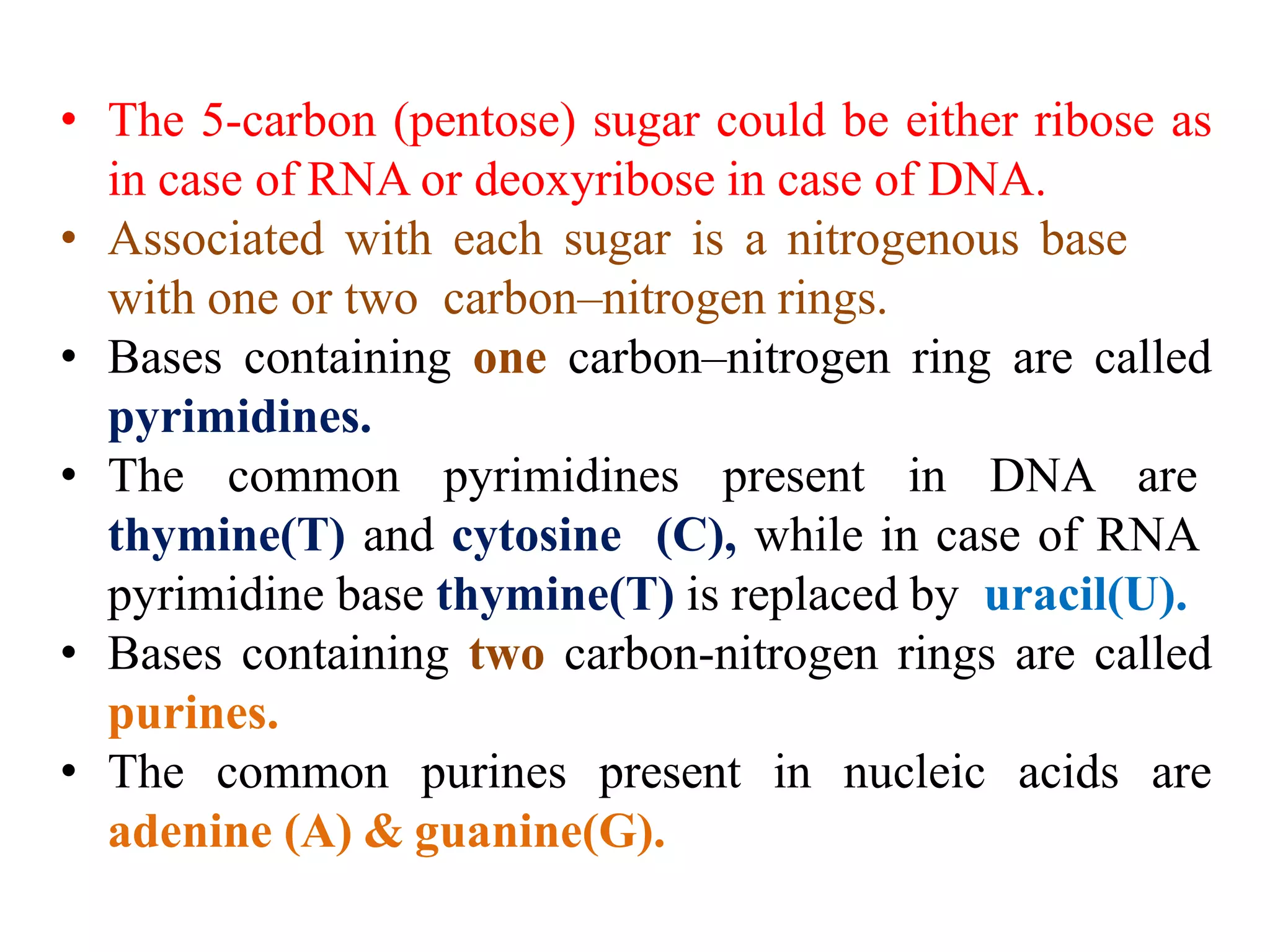 • The 5-carbon (pentose) sugar could be either ribose as
in case of RNA or deoxyribose in case of DNA.
• Associated with each sugar is a nitrogenous base
with one or two carbon–nitrogen rings.
• Bases containing one carbon–nitrogen ring are called
pyrimidines.
• The common pyrimidines present in DNA are
thymine(T) and cytosine (C), while in case of RNA
pyrimidine base thymine(T) is replaced by uracil(U).
• Bases containing two carbon-nitrogen rings are called
purines.
• The common purines present in nucleic acids are
adenine (A) & guanine(G).
 