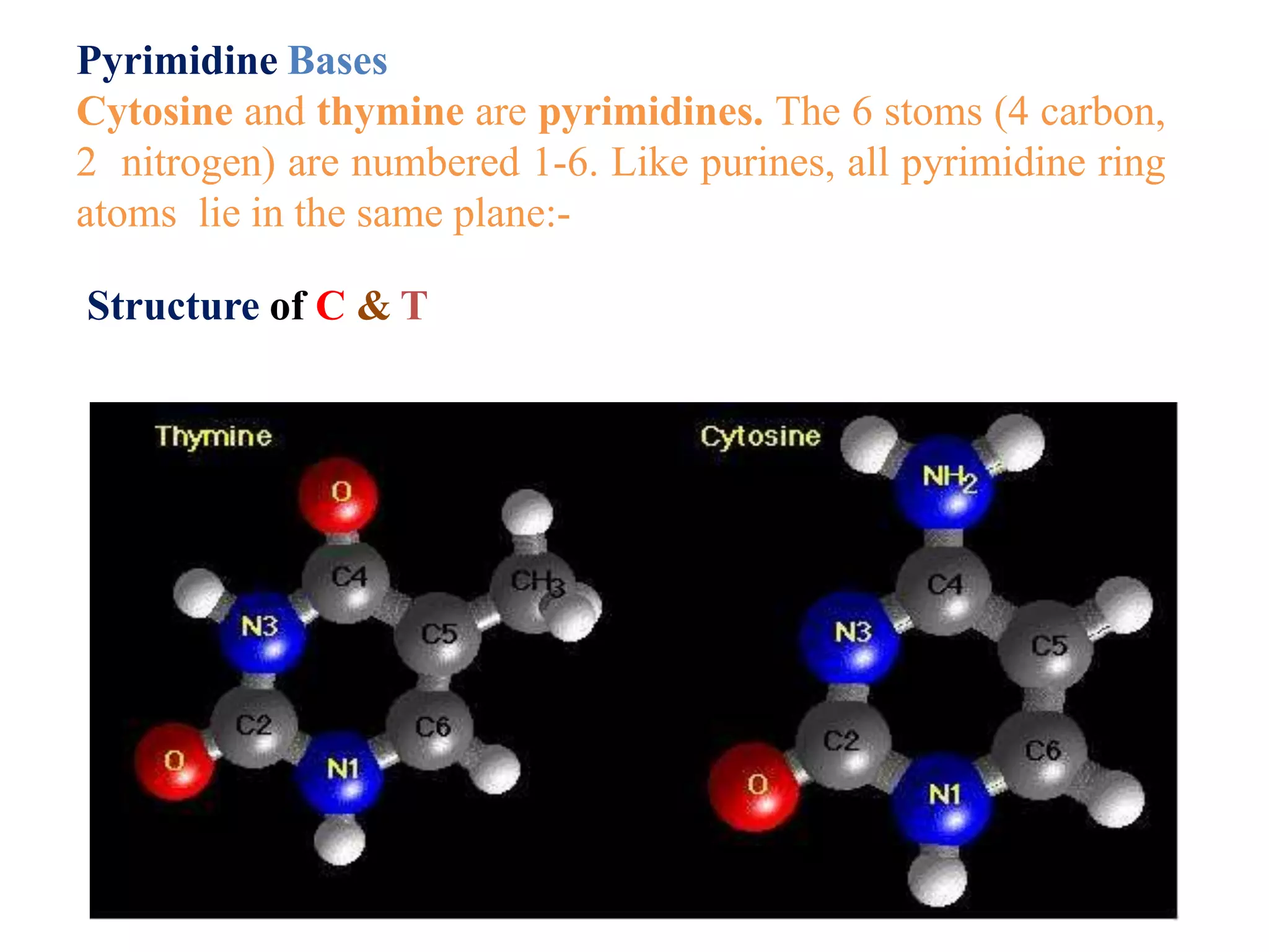 Pyrimidine Bases
Cytosine and thymine are pyrimidines. The 6 stoms (4 carbon,
2 nitrogen) are numbered 1-6. Like purines, all pyrimidine ring
atoms lie in the same plane:-
Structure of C & T
 