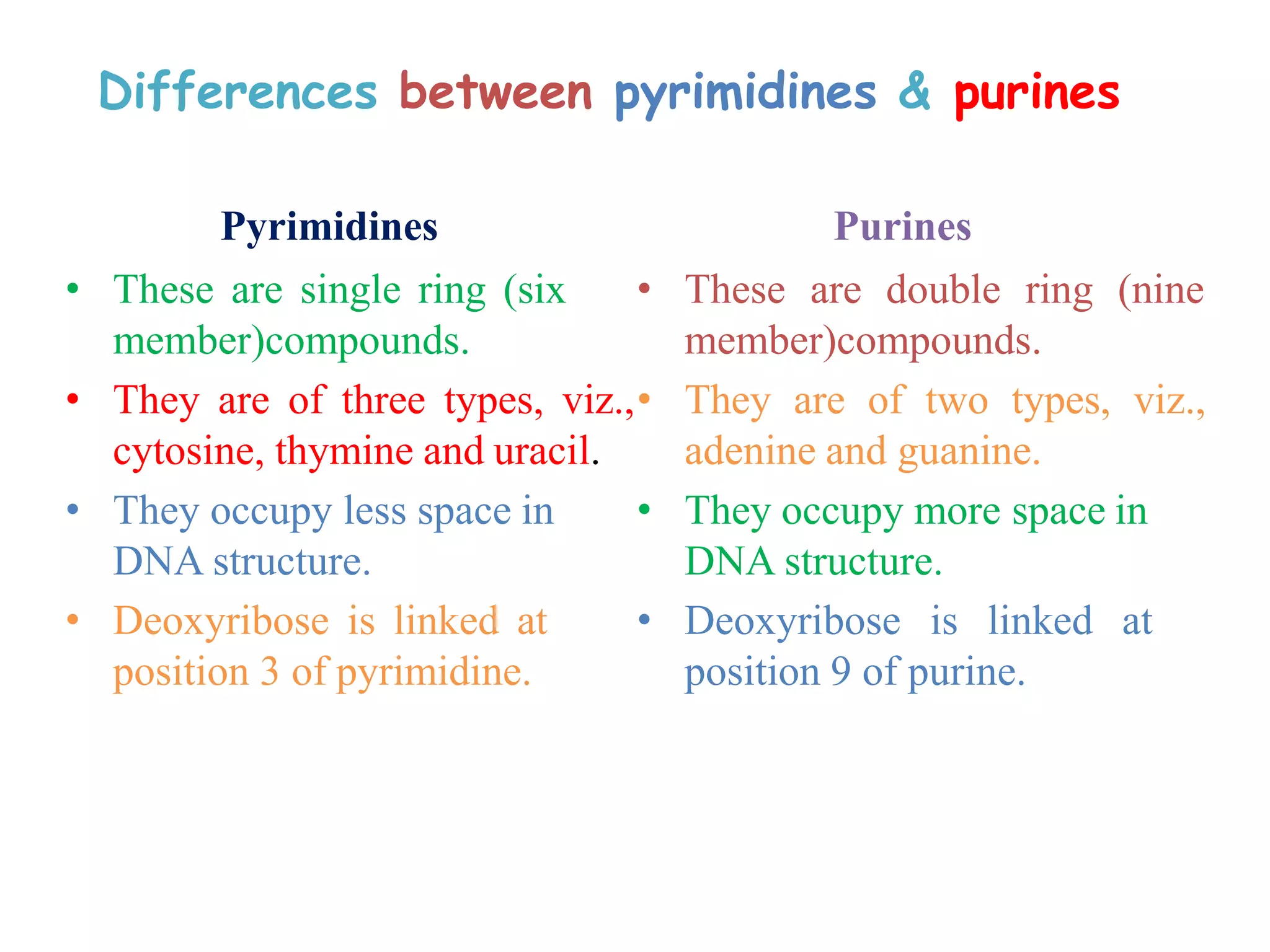 Differences between pyrimidines & purines
Pyrimidines
• These are single ring (six
member)compounds.
• They are of three types, viz.,
cytosine, thymine and uracil.
• They occupy less space in
DNA structure.
• Deoxyribose is linked at
position 3 of pyrimidine.
Purines
• These are double ring (nine
member)compounds.
• They are of two types, viz.,
adenine and guanine.
• They occupy more space in
DNA structure.
• Deoxyribose is linked at
position 9 of purine.
 