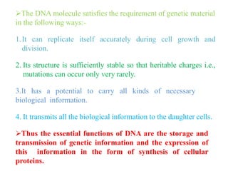 The DNA molecule satisfies the requirement of genetic material
in the following ways:-
1.It can replicate itself accurately during cell growth and
division.
2. Its structure is sufficiently stable so that heritable charges i.e.,
mutations can occur only very rarely.
3.It has a potential to carry all kinds of necessary
biological information.
4. It transmits all the biological information to the daughter cells.
Thus the essential functions of DNA are the storage and
transmission of genetic information and the expression of
this information in the form of synthesis of cellular
proteins.
 