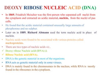 DEOXY RIBOSE NUCLEIC ACID (DNA)
• In 1869, Friedrich Meischer was the first person who separated cell nuclei from
the cytoplasm and extracted an acidic material, nuclein, from the nuclei of pus
cells.
• He found that the acidic material contained unusually large amounts of
phosphorous and no sulphur.
• Later on in 1889, Richard Altmann used the term nucleic acid in place of
nuclein.
• Nucleic acids were found to be associated with various proteins called
nucleoproteins.
• There are two types of nucleic acids viz.,
 Deoxy ribose Nucleic acid (DNA) &
 Ribose Nucleic acid (RNA).
• DNA is the genetic material in most of the organisms.
• RNA acts as genetic material only in some viruses.
• DNA is mainly found in the chromosomes in the nucleus, while RNA is mostly
found in the ribosomes in the cytoplasm.
 