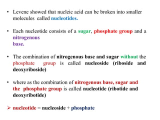 • Levene showed that nucleic acid can be broken into smaller
molecules called nucleotides.
• Each nucleotide consists of a sugar, phosphate group and a
nitrogenous
base.
• The combination of nitrogenous base and sugar without the
phosphate group is called nucleoside (riboside and
deoxyriboside)
• where as the combination of nitrogenous base, sugar and
the phosphate group is called nucleotide (ribotide and
deoxyribotide)
 nucleotide = nucleoside + phosphate
 