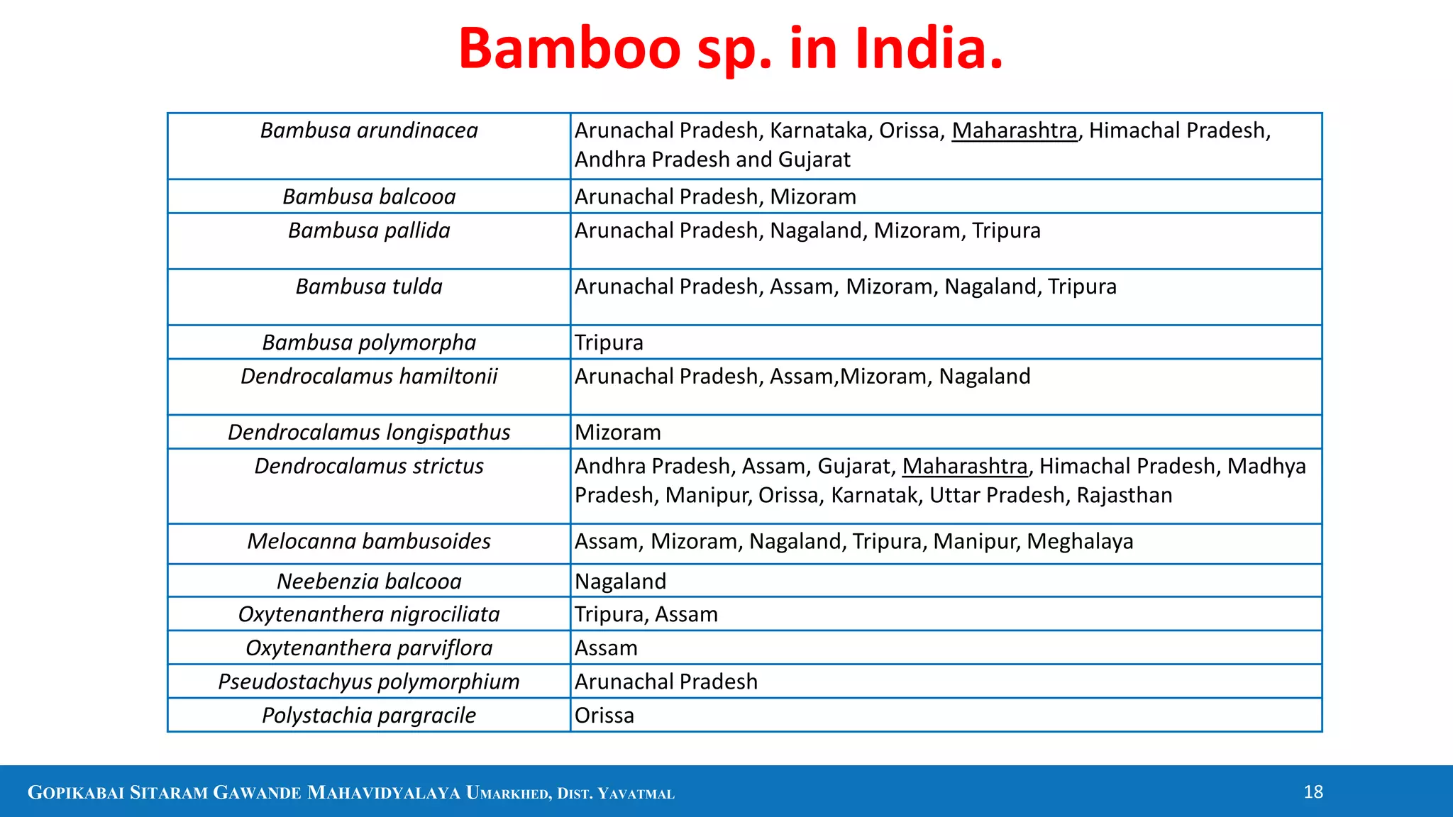 GOPIKABAI SITARAM GAWANDE MAHAVIDYALAYA UMARKHED, DIST. YAVATMAL 18
Bamboo sp. in India.
Bambusa arundinacea Arunachal Pradesh, Karnataka, Orissa, Maharashtra, Himachal Pradesh,
Andhra Pradesh and Gujarat
Bambusa balcooa Arunachal Pradesh, Mizoram
Bambusa pallida Arunachal Pradesh, Nagaland, Mizoram, Tripura
Bambusa tulda Arunachal Pradesh, Assam, Mizoram, Nagaland, Tripura
Bambusa polymorpha Tripura
Dendrocalamus hamiltonii Arunachal Pradesh, Assam,Mizoram, Nagaland
Dendrocalamus longispathus Mizoram
Dendrocalamus strictus Andhra Pradesh, Assam, Gujarat, Maharashtra, Himachal Pradesh, Madhya
Pradesh, Manipur, Orissa, Karnatak, Uttar Pradesh, Rajasthan
Melocanna bambusoides Assam, Mizoram, Nagaland, Tripura, Manipur, Meghalaya
Neebenzia balcooa Nagaland
Oxytenanthera nigrociliata Tripura, Assam
Oxytenanthera parviflora Assam
Pseudostachyus polymorphium Arunachal Pradesh
Polystachia pargracile Orissa
 
