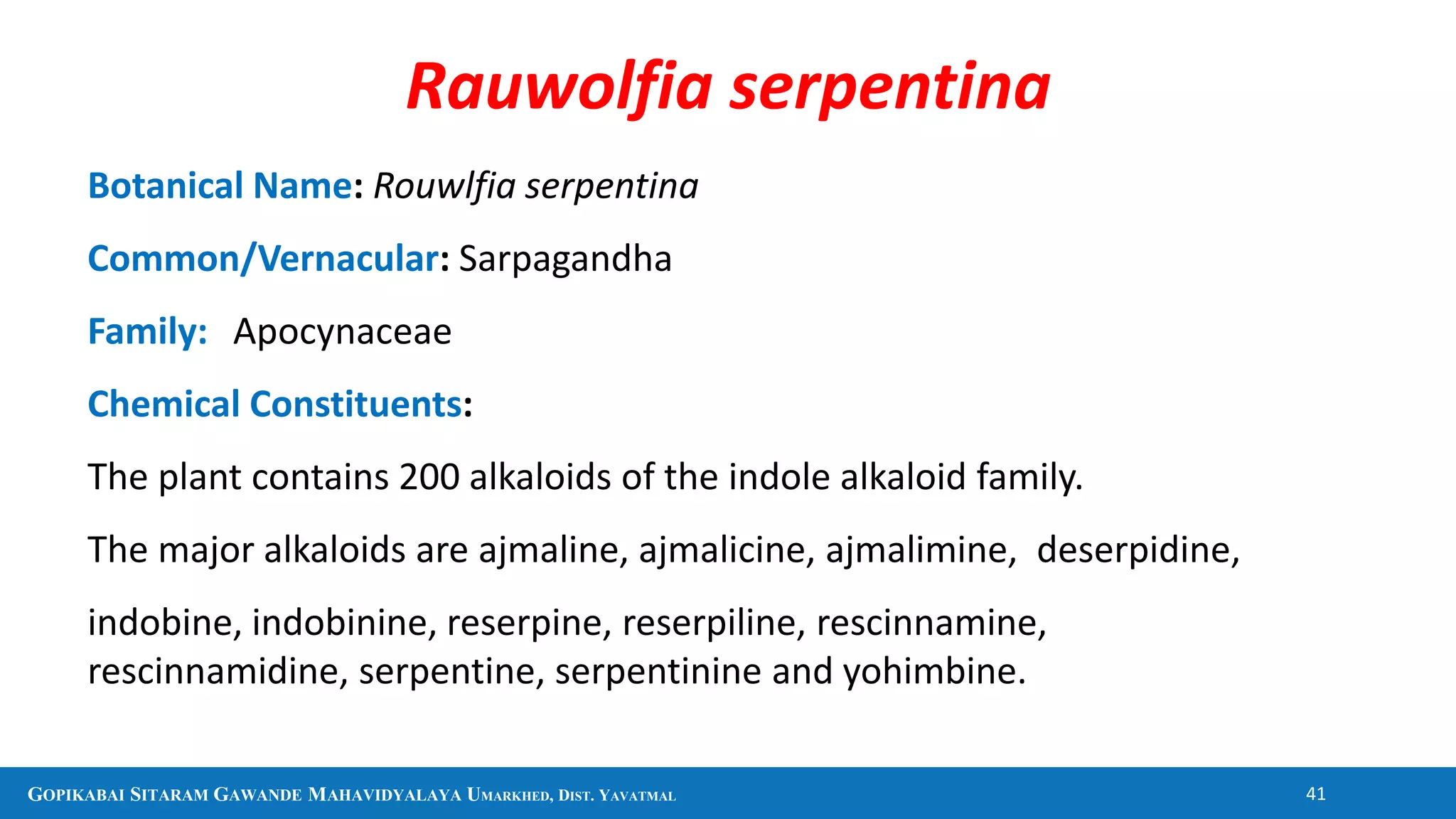 GOPIKABAI SITARAM GAWANDE MAHAVIDYALAYA UMARKHED, DIST. YAVATMAL 41
Botanical Name: Rouwlfia serpentina
Common/Vernacular: Sarpagandha
Family: Apocynaceae
Chemical Constituents:
The plant contains 200 alkaloids of the indole alkaloid family.
The major alkaloids are ajmaline, ajmalicine, ajmalimine, deserpidine,
indobine, indobinine, reserpine, reserpiline, rescinnamine,
rescinnamidine, serpentine, serpentinine and yohimbine.
Rauwolfia serpentina
 