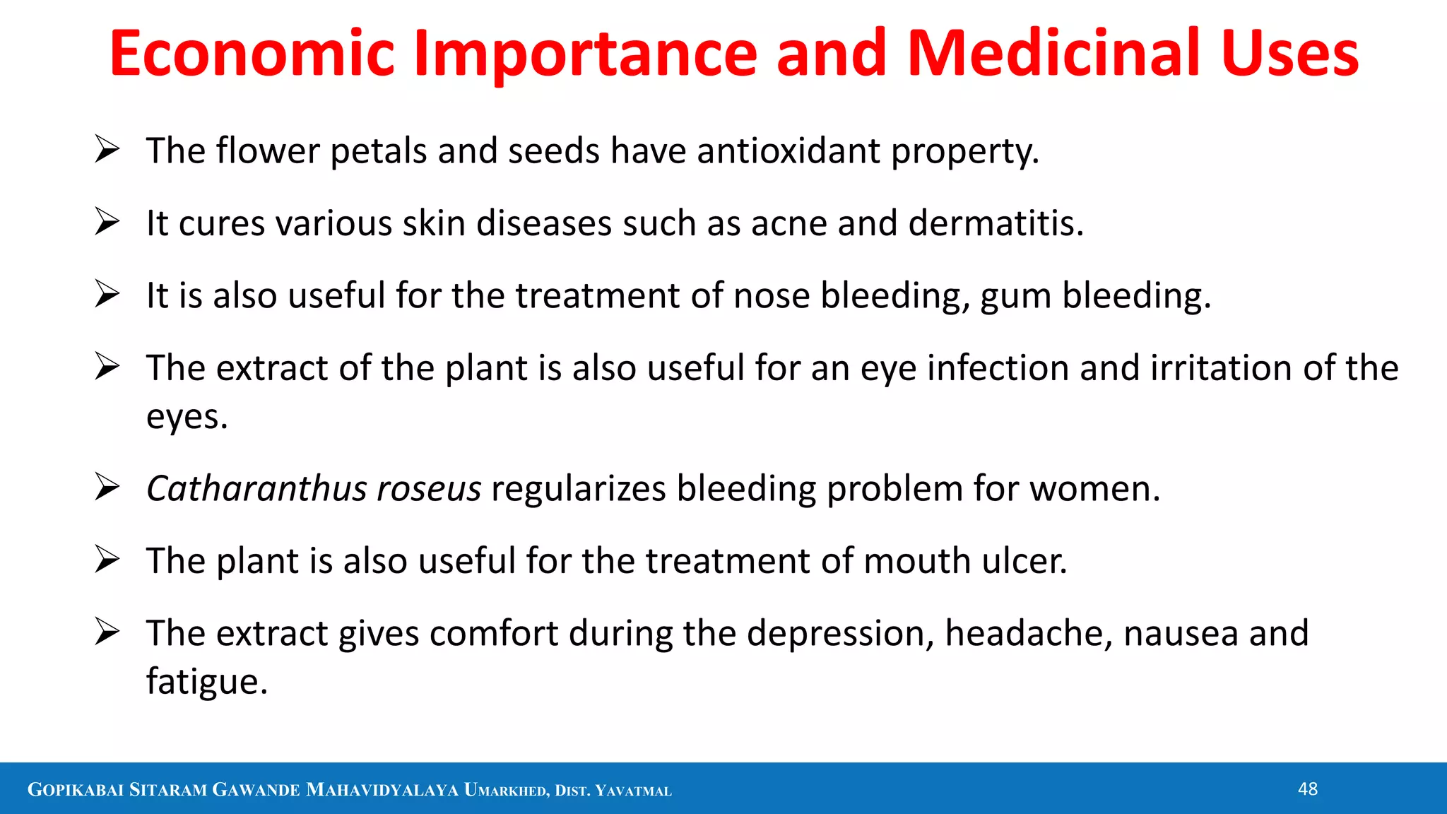 GOPIKABAI SITARAM GAWANDE MAHAVIDYALAYA UMARKHED, DIST. YAVATMAL 48
 The flower petals and seeds have antioxidant property.
 It cures various skin diseases such as acne and dermatitis.
 It is also useful for the treatment of nose bleeding, gum bleeding.
 The extract of the plant is also useful for an eye infection and irritation of the
eyes.
 Catharanthus roseus regularizes bleeding problem for women.
 The plant is also useful for the treatment of mouth ulcer.
 The extract gives comfort during the depression, headache, nausea and
fatigue.
Economic Importance and Medicinal Uses
 