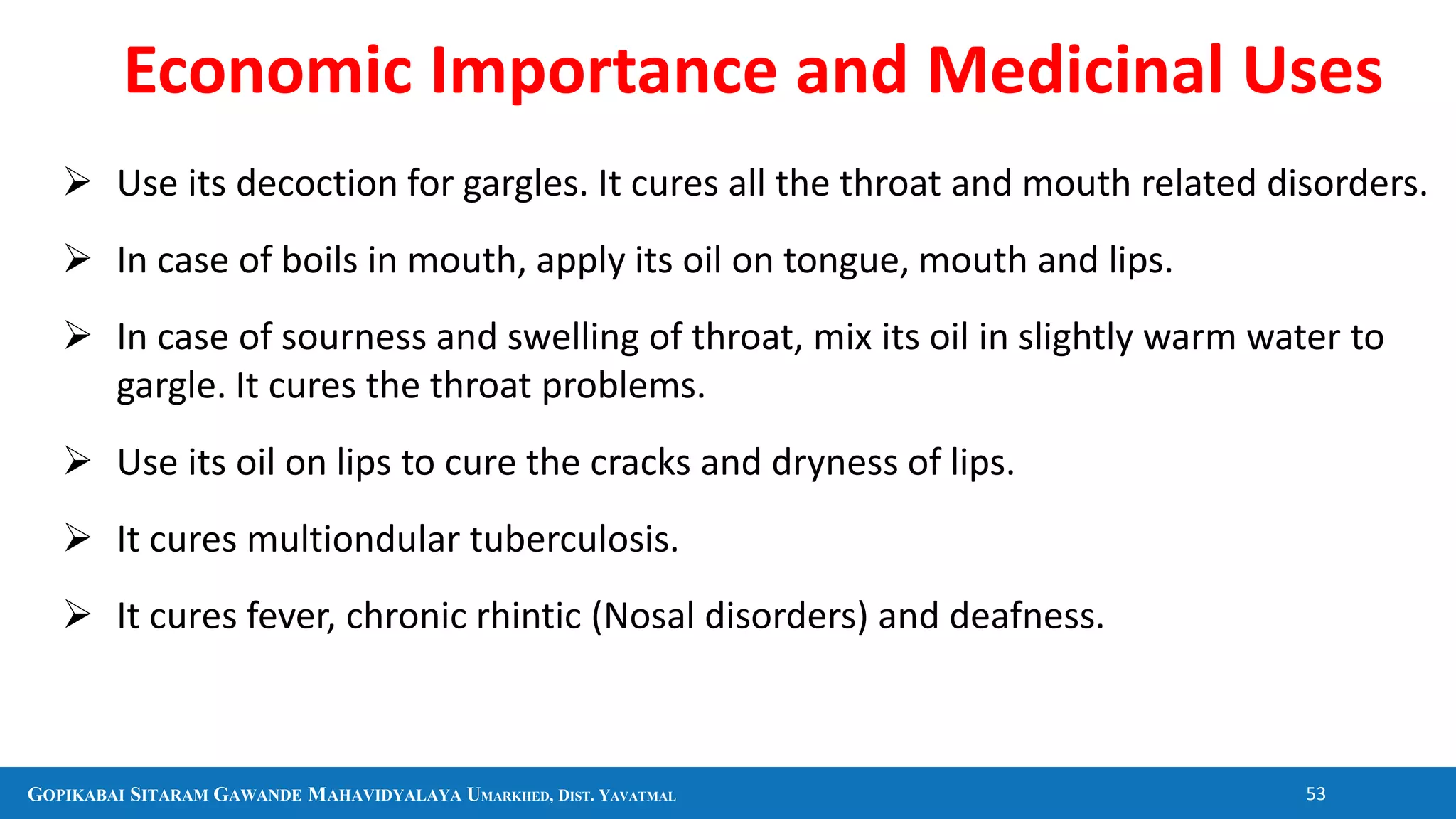 GOPIKABAI SITARAM GAWANDE MAHAVIDYALAYA UMARKHED, DIST. YAVATMAL 53
 Use its decoction for gargles. It cures all the throat and mouth related disorders.
 In case of boils in mouth, apply its oil on tongue, mouth and lips.
 In case of sourness and swelling of throat, mix its oil in slightly warm water to
gargle. It cures the throat problems.
 Use its oil on lips to cure the cracks and dryness of lips.
 It cures multiondular tuberculosis.
 It cures fever, chronic rhintic (Nosal disorders) and deafness.
Economic Importance and Medicinal Uses
 