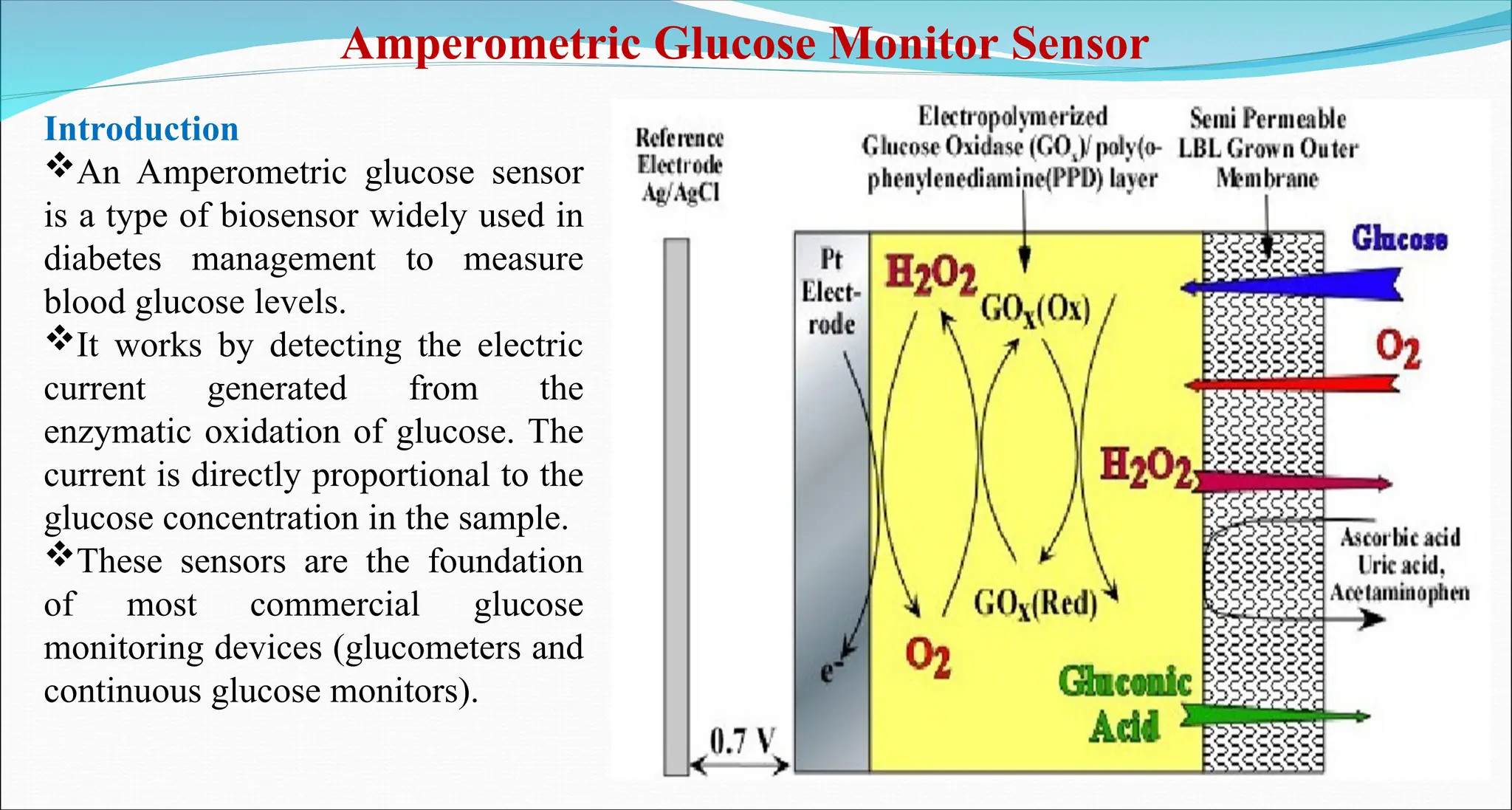 Introduction
An Amperometric glucose sensor
is a type of biosensor widely used in
diabetes management to measure
blood glucose levels.
It works by detecting the electric
current generated from the
enzymatic oxidation of glucose. The
current is directly proportional to the
glucose concentration in the sample.
These sensors are the foundation
of most commercial glucose
monitoring devices (glucometers and
continuous glucose monitors).
Amperometric Glucose Monitor Sensor
 