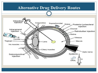Ocular drug delivery system-Unit V (Part A) 7th semester | PPTX
