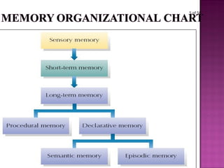Memory X Unit-X-Memory (2)-1.ppt developmental psychology | PPT
