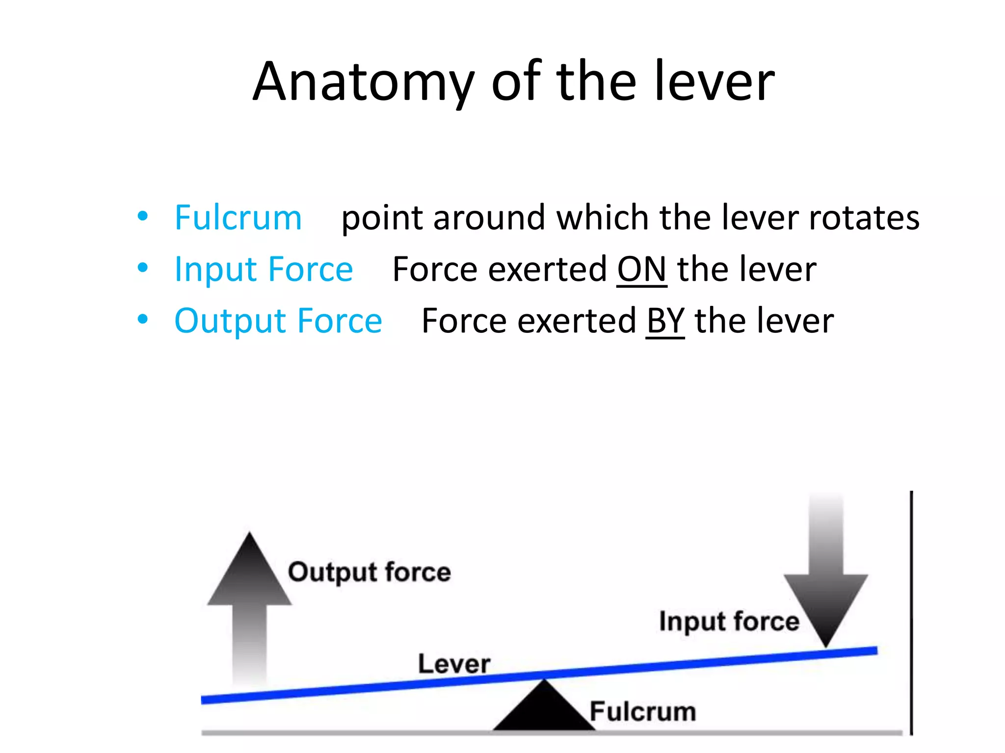 Anatomy of the lever
• Fulcrum – point around which the lever rotates
• Input Force – Force exerted ON the lever
• Output Force – Force exerted BY the lever
 