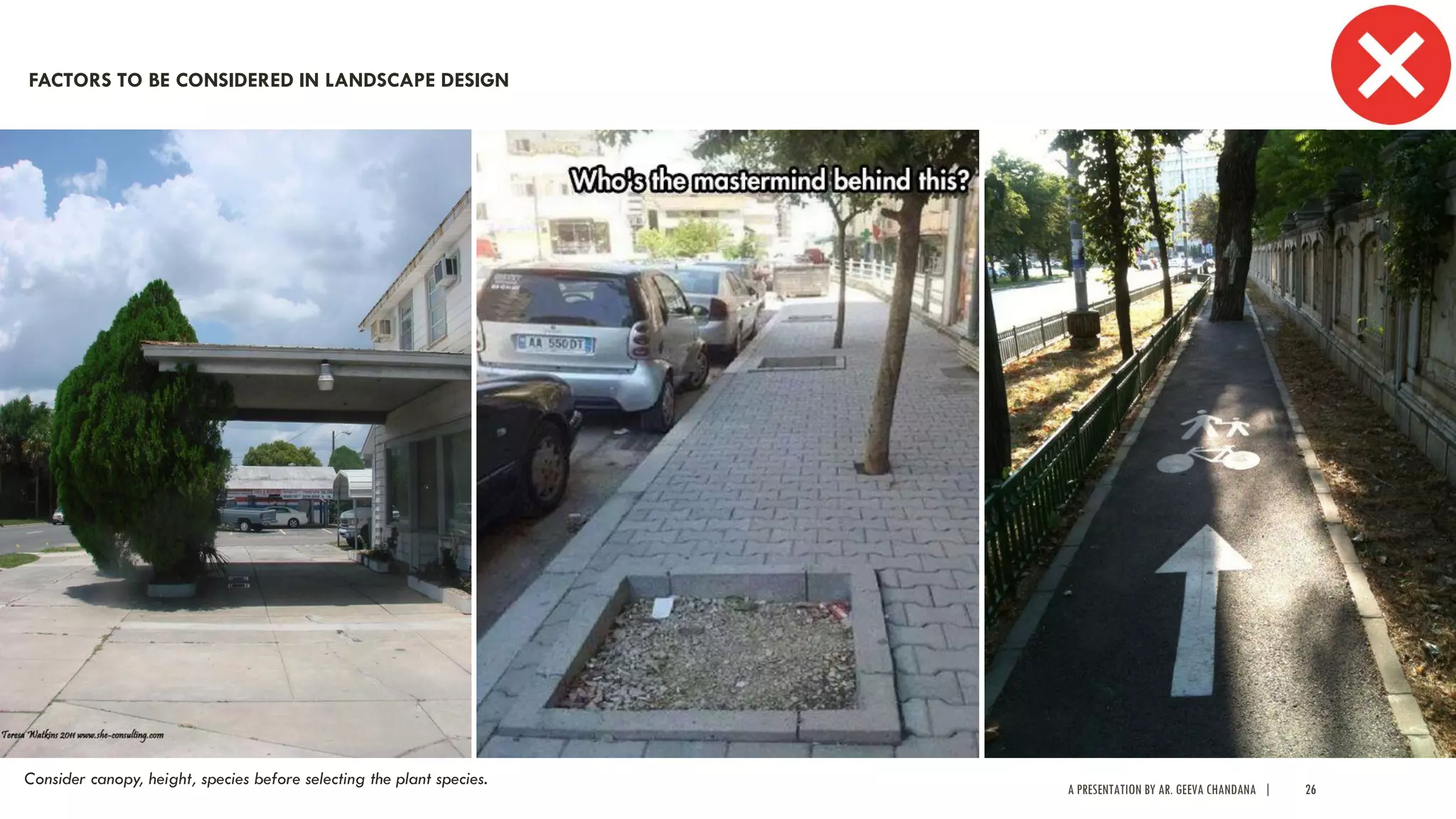 A PRESENTATION BY AR. GEEVA CHANDANA | 26
Consider canopy, height, species before selecting the plant species.
FACTORS TO BE CONSIDERED IN LANDSCAPE DESIGN
 