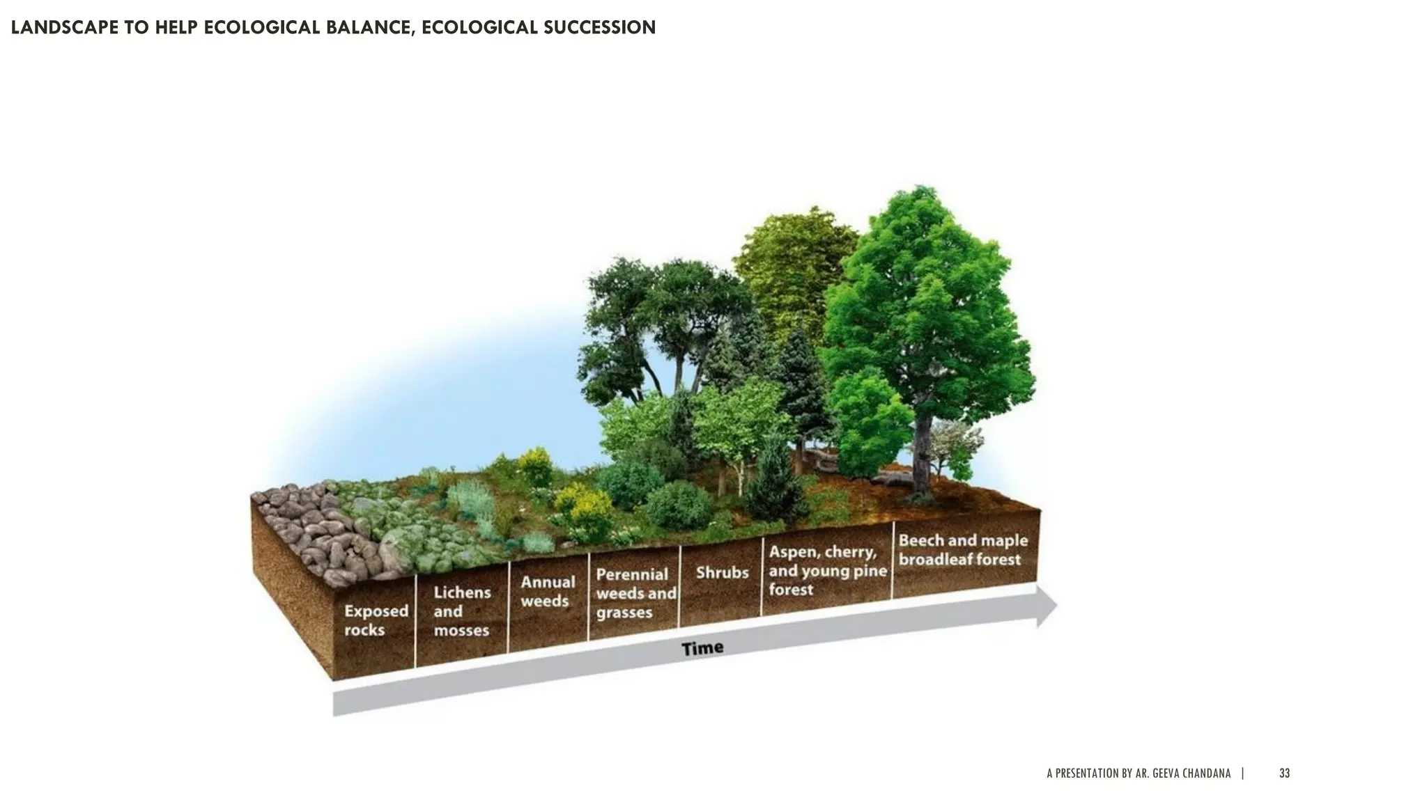 A PRESENTATION BY AR. GEEVA CHANDANA | 33
LANDSCAPE TO HELP ECOLOGICAL BALANCE, ECOLOGICAL SUCCESSION
 