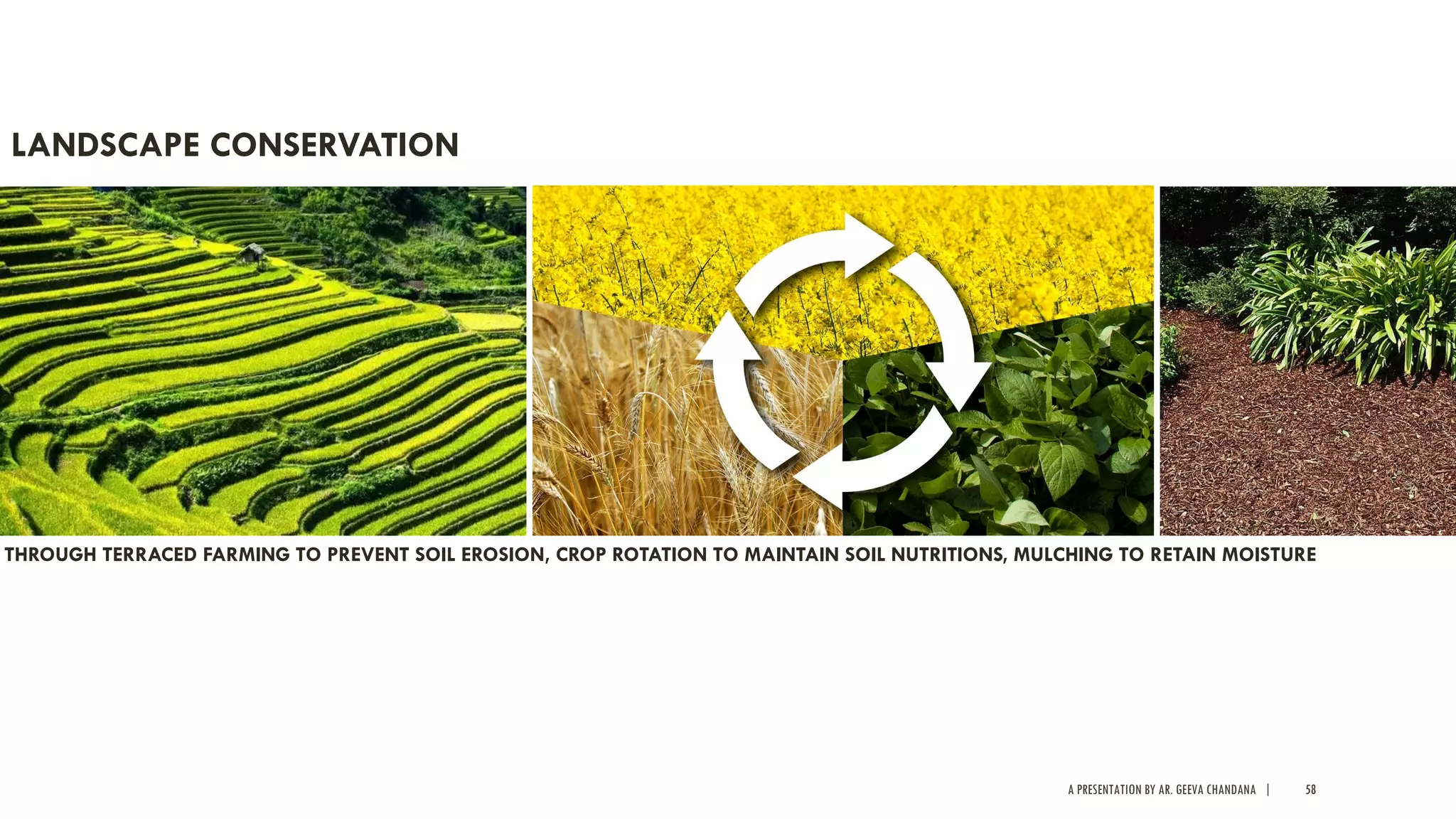 A PRESENTATION BY AR. GEEVA CHANDANA | 58
LANDSCAPE CONSERVATION
THROUGH TERRACED FARMING TO PREVENT SOIL EROSION, CROP ROTATION TO MAINTAIN SOIL NUTRITIONS, MULCHING TO RETAIN MOISTURE
 