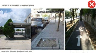 A PRESENTATION BY AR. GEEVA CHANDANA | 26
Consider canopy, height, species before selecting the plant species.
FACTORS TO BE CONSIDERED IN LANDSCAPE DESIGN
 