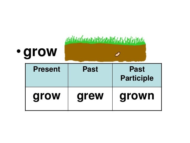 Unit 01 Past Participle Verbs 4to