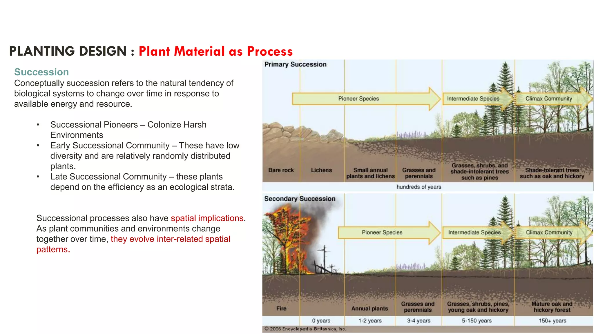 | 35
PLANTING DESIGN : Plant Material as Process
Succession
Conceptually succession refers to the natural tendency of
biological systems to change over time in response to
available energy and resource.
• Successional Pioneers – Colonize Harsh
Environments
• Early Successional Community – These have low
diversity and are relatively randomly distributed
plants.
• Late Successional Community – these plants
depend on the efficiency as an ecological strata.
Successional processes also have spatial implications.
As plant communities and environments change
together over time, they evolve inter-related spatial
patterns.
 