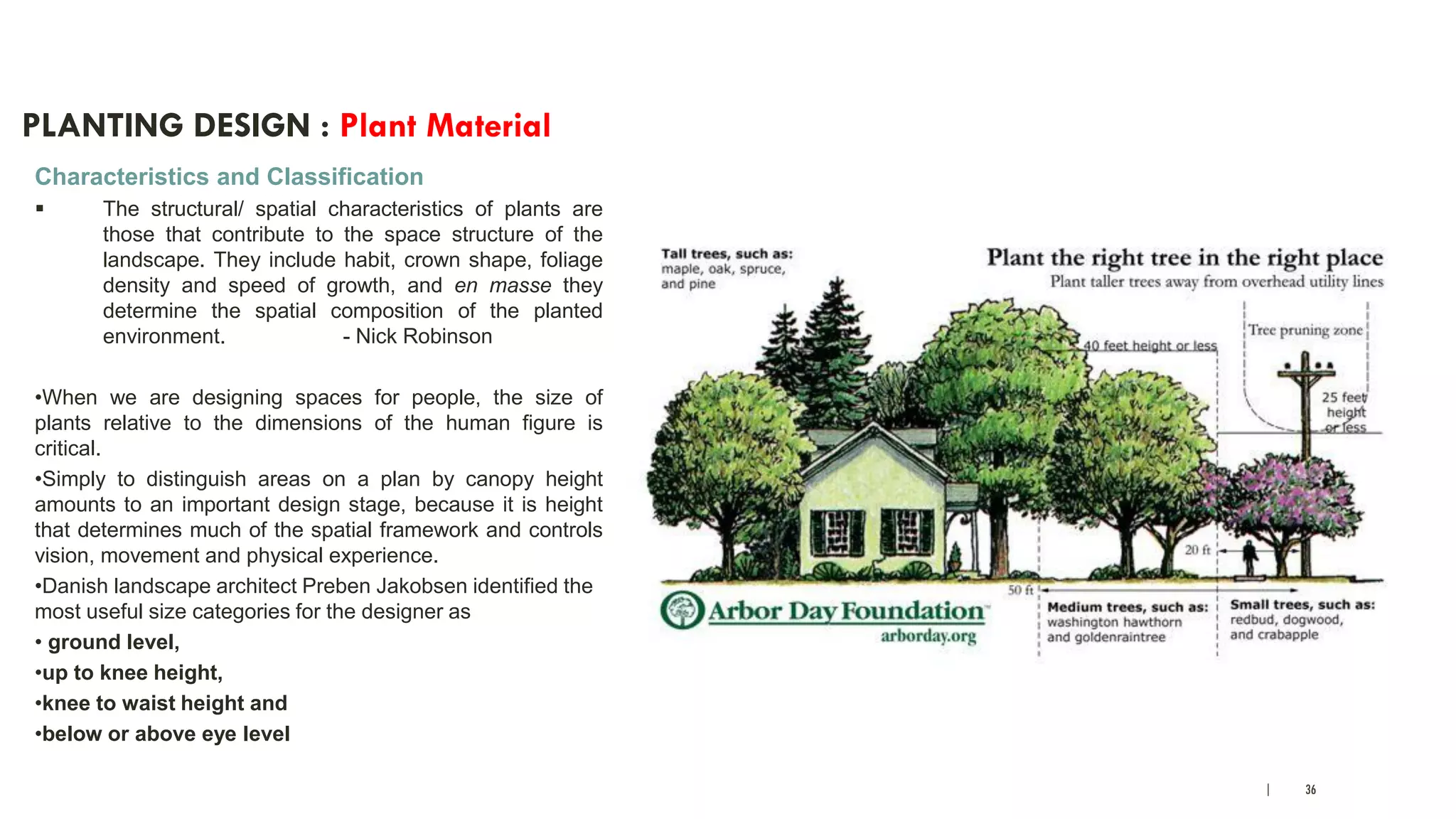 | 36
PLANTING DESIGN : Plant Material
Characteristics and Classification
 The structural/ spatial characteristics of plants are
those that contribute to the space structure of the
landscape. They include habit, crown shape, foliage
density and speed of growth, and en masse they
determine the spatial composition of the planted
environment. - Nick Robinson
•When we are designing spaces for people, the size of
plants relative to the dimensions of the human figure is
critical.
•Simply to distinguish areas on a plan by canopy height
amounts to an important design stage, because it is height
that determines much of the spatial framework and controls
vision, movement and physical experience.
•Danish landscape architect Preben Jakobsen identified the
most useful size categories for the designer as
• ground level,
•up to knee height,
•knee to waist height and
•below or above eye level
 