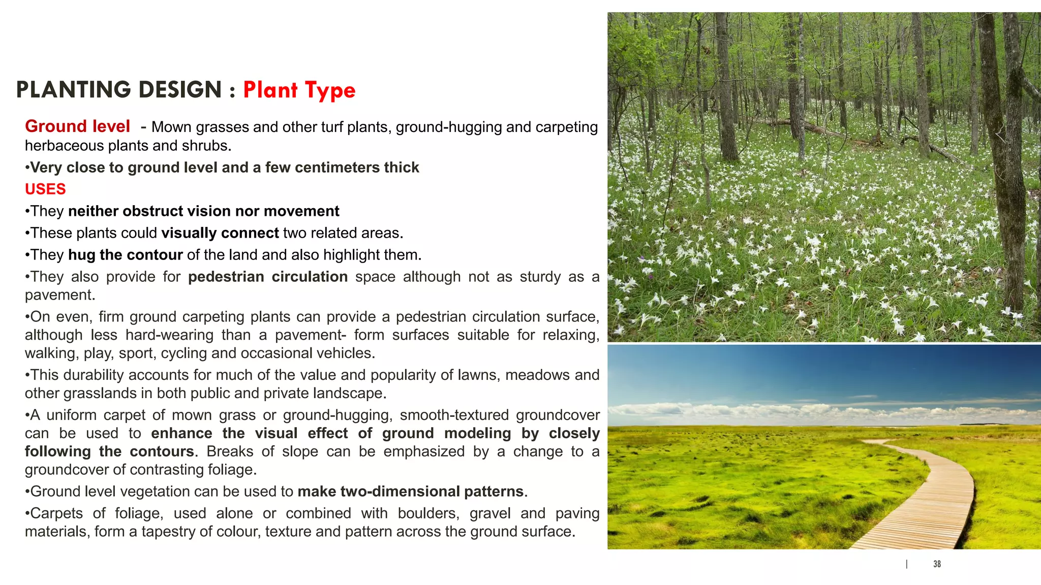 | 38
PLANTING DESIGN : Plant Type
Ground level - Mown grasses and other turf plants, ground-hugging and carpeting
herbaceous plants and shrubs.
•Very close to ground level and a few centimeters thick
USES
•They neither obstruct vision nor movement
•These plants could visually connect two related areas.
•They hug the contour of the land and also highlight them.
•They also provide for pedestrian circulation space although not as sturdy as a
pavement.
•On even, firm ground carpeting plants can provide a pedestrian circulation surface,
although less hard-wearing than a pavement- form surfaces suitable for relaxing,
walking, play, sport, cycling and occasional vehicles.
•This durability accounts for much of the value and popularity of lawns, meadows and
other grasslands in both public and private landscape.
•A uniform carpet of mown grass or ground-hugging, smooth-textured groundcover
can be used to enhance the visual effect of ground modeling by closely
following the contours. Breaks of slope can be emphasized by a change to a
groundcover of contrasting foliage.
•Ground level vegetation can be used to make two-dimensional patterns.
•Carpets of foliage, used alone or combined with boulders, gravel and paving
materials, form a tapestry of colour, texture and pattern across the ground surface.
 