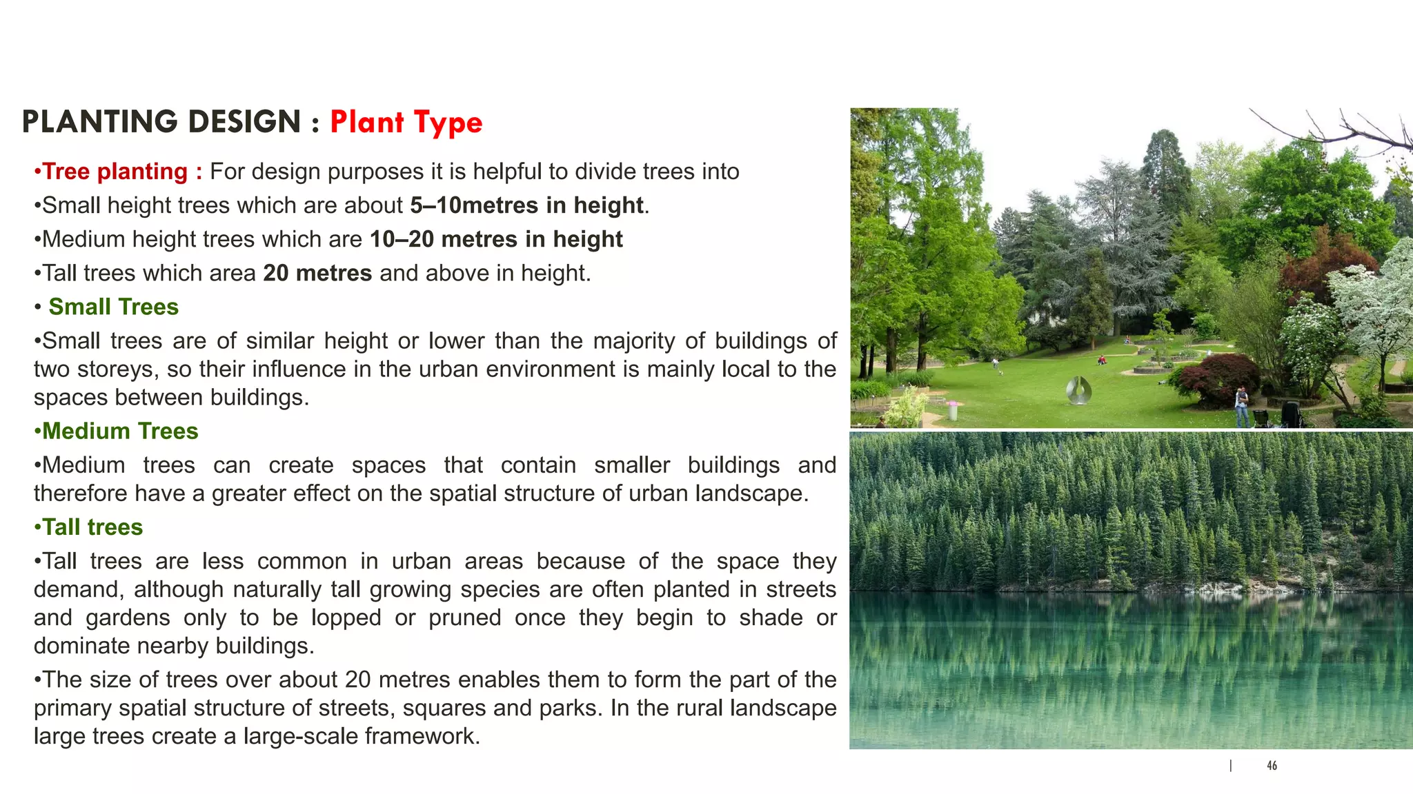 | 46
PLANTING DESIGN : Plant Type
•Tree planting : For design purposes it is helpful to divide trees into
•Small height trees which are about 5–10metres in height.
•Medium height trees which are 10–20 metres in height
•Tall trees which area 20 metres and above in height.
• Small Trees
•Small trees are of similar height or lower than the majority of buildings of
two storeys, so their influence in the urban environment is mainly local to the
spaces between buildings.
•Medium Trees
•Medium trees can create spaces that contain smaller buildings and
therefore have a greater effect on the spatial structure of urban landscape.
•Tall trees
•Tall trees are less common in urban areas because of the space they
demand, although naturally tall growing species are often planted in streets
and gardens only to be lopped or pruned once they begin to shade or
dominate nearby buildings.
•The size of trees over about 20 metres enables them to form the part of the
primary spatial structure of streets, squares and parks. In the rural landscape
large trees create a large-scale framework.
 