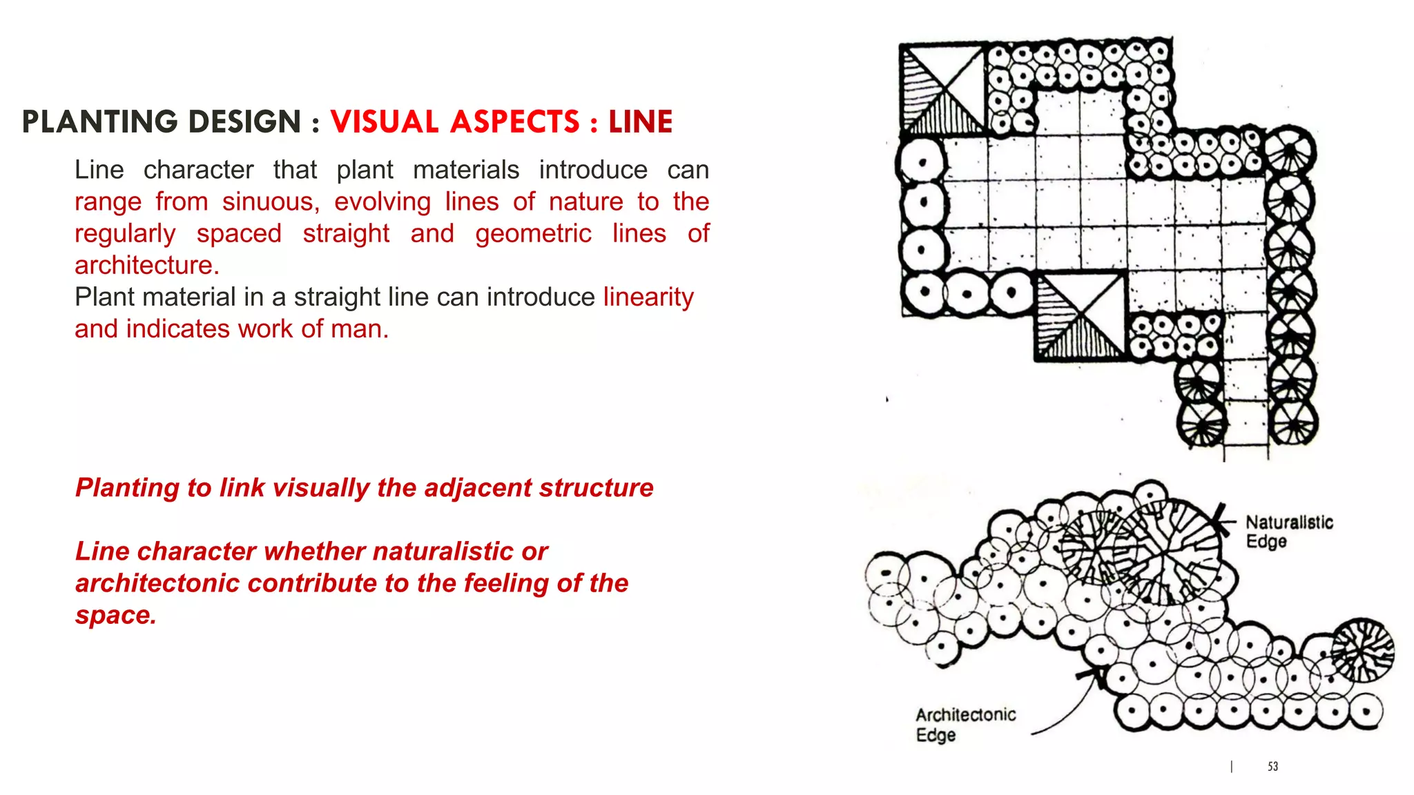 | 53
PLANTING DESIGN : VISUAL ASPECTS : LINE
Line character that plant materials introduce can
range from sinuous, evolving lines of nature to the
regularly spaced straight and geometric lines of
architecture.
Plant material in a straight line can introduce linearity
and indicates work of man.
Planting to link visually the adjacent structure
Line character whether naturalistic or
architectonic contribute to the feeling of the
space.
 
