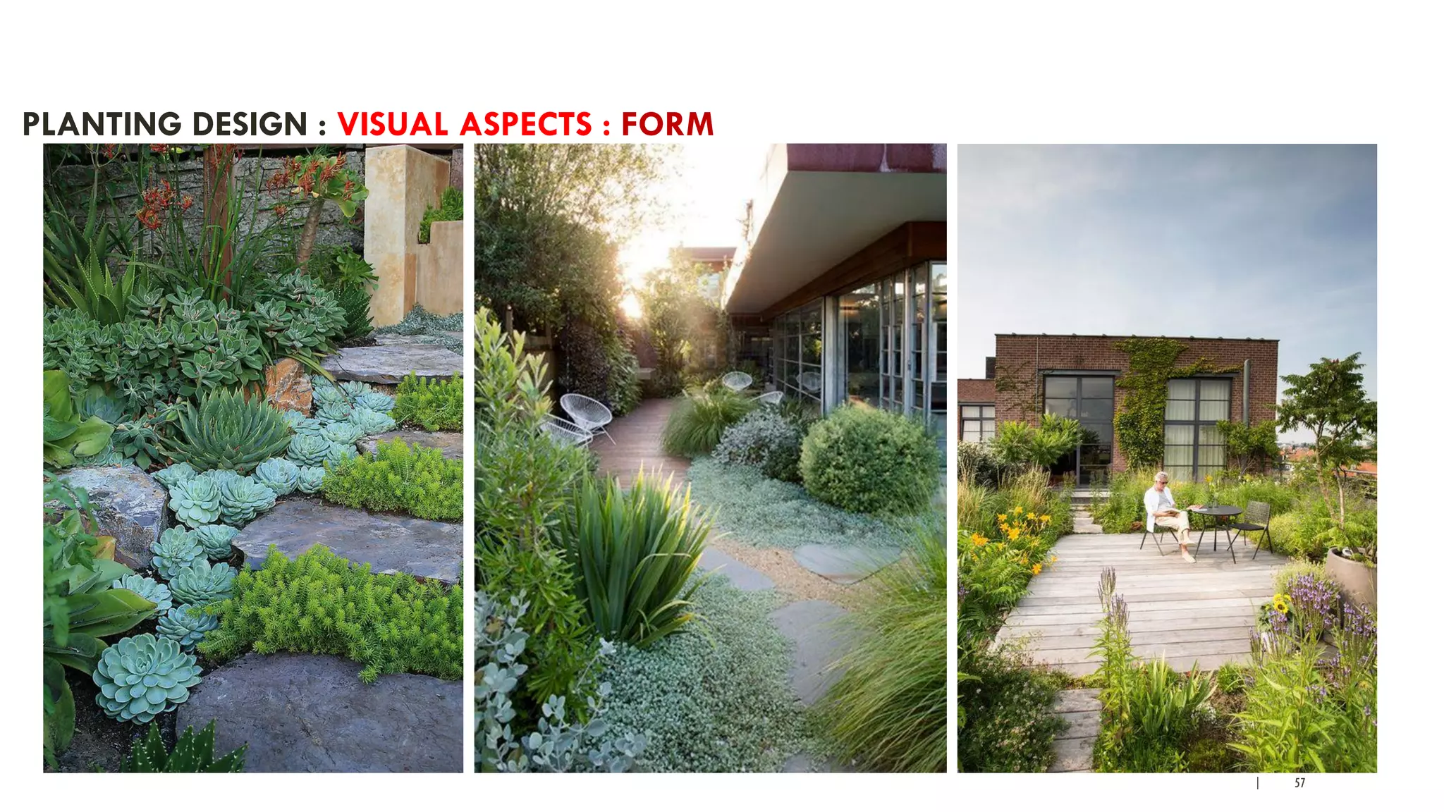 | 57
PLANTING DESIGN : VISUAL ASPECTS : FORM
 