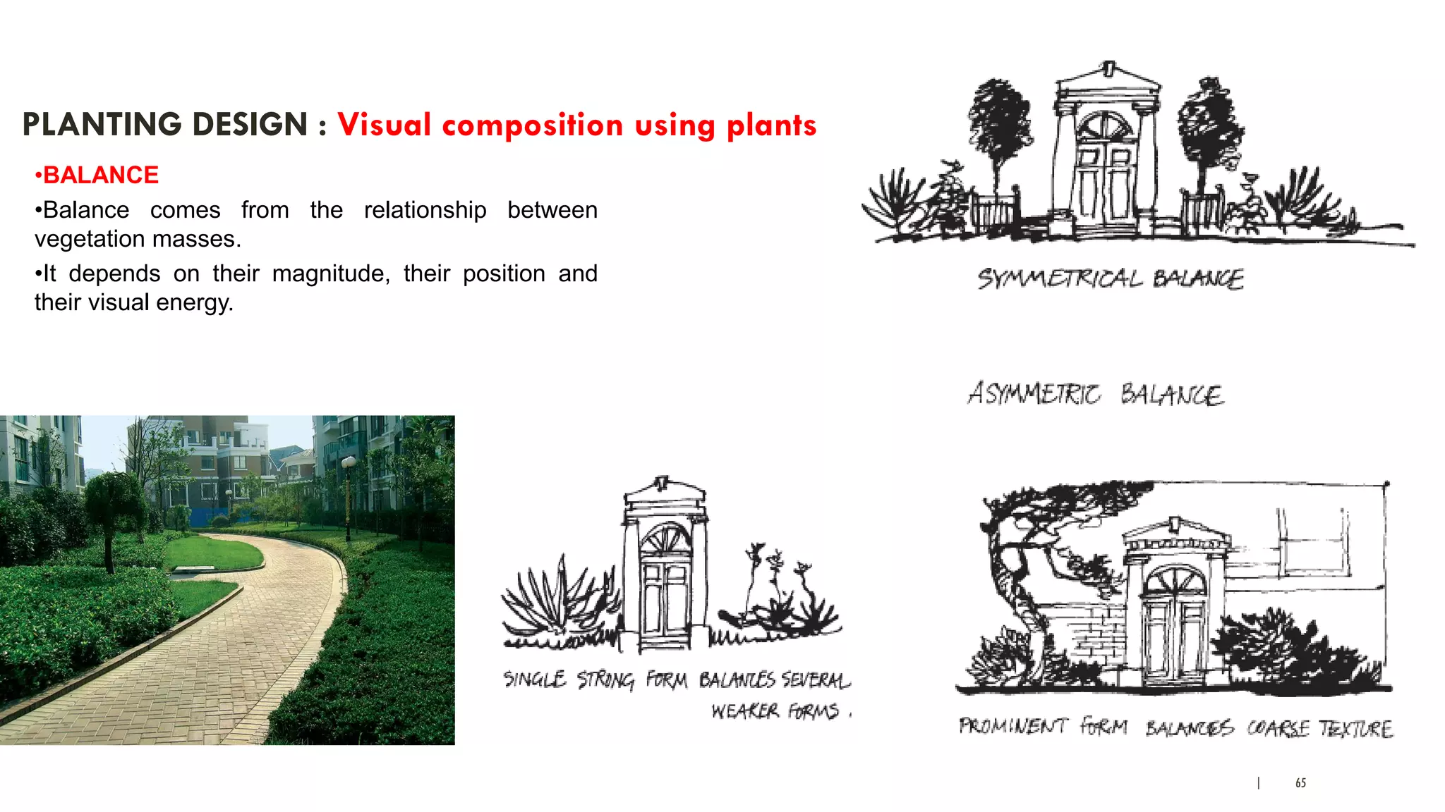 | 65
PLANTING DESIGN : Visual composition using plants
•BALANCE
•Balance comes from the relationship between
vegetation masses.
•It depends on their magnitude, their position and
their visual energy.
 