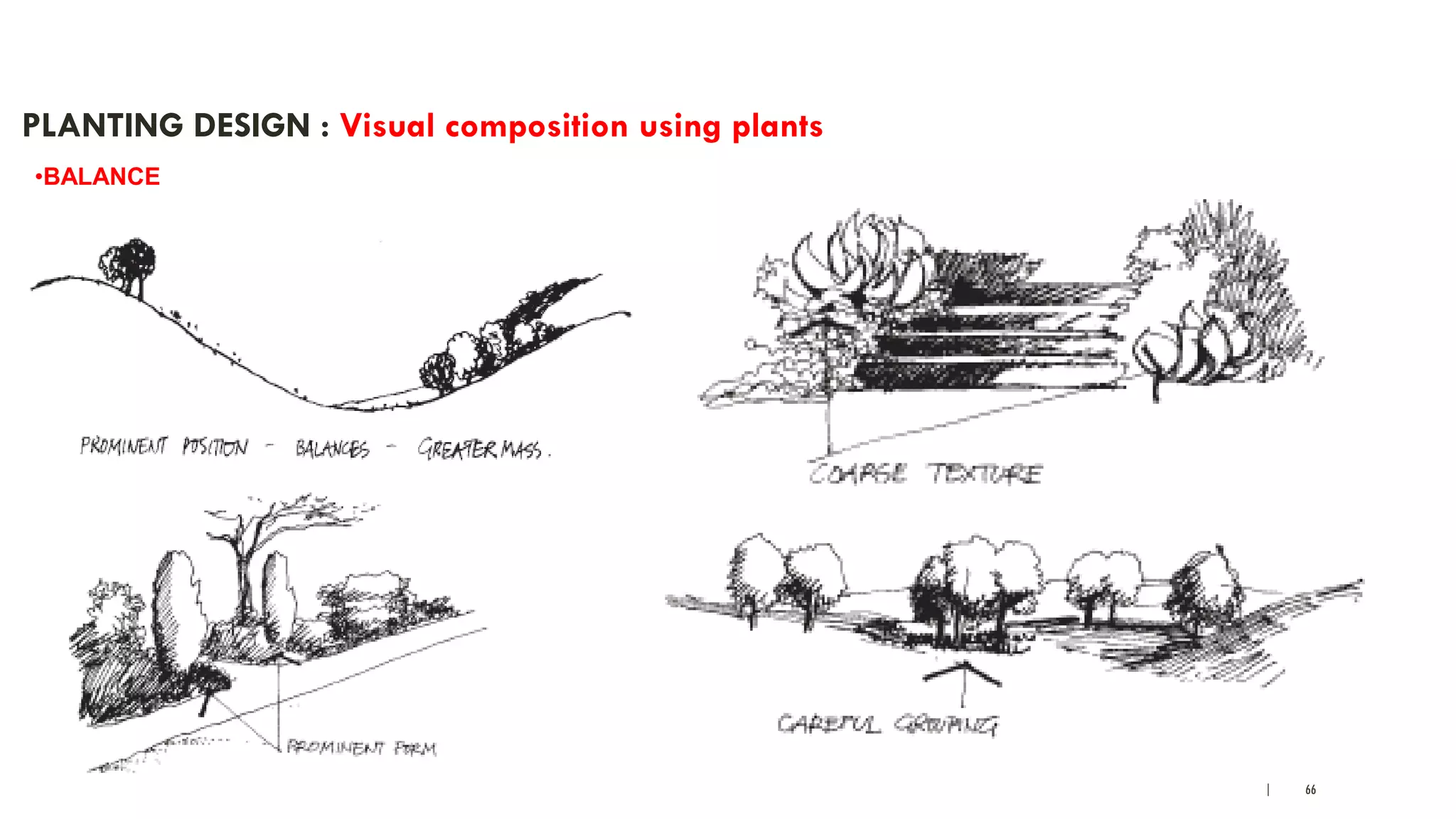 | 66
PLANTING DESIGN : Visual composition using plants
•BALANCE
 