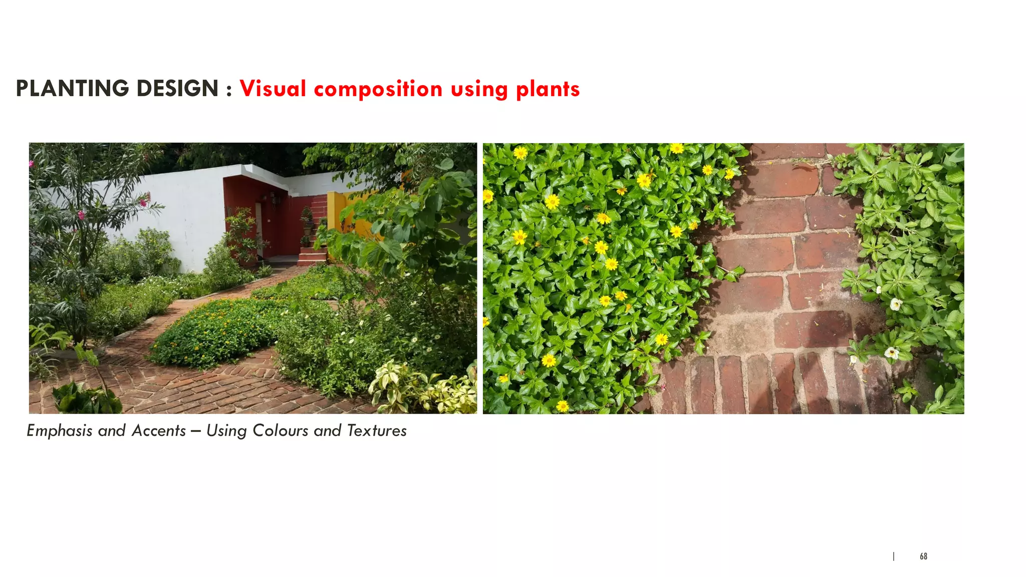 | 68
PLANTING DESIGN : Visual composition using plants
Emphasis and Accents – Using Colours and Textures
 