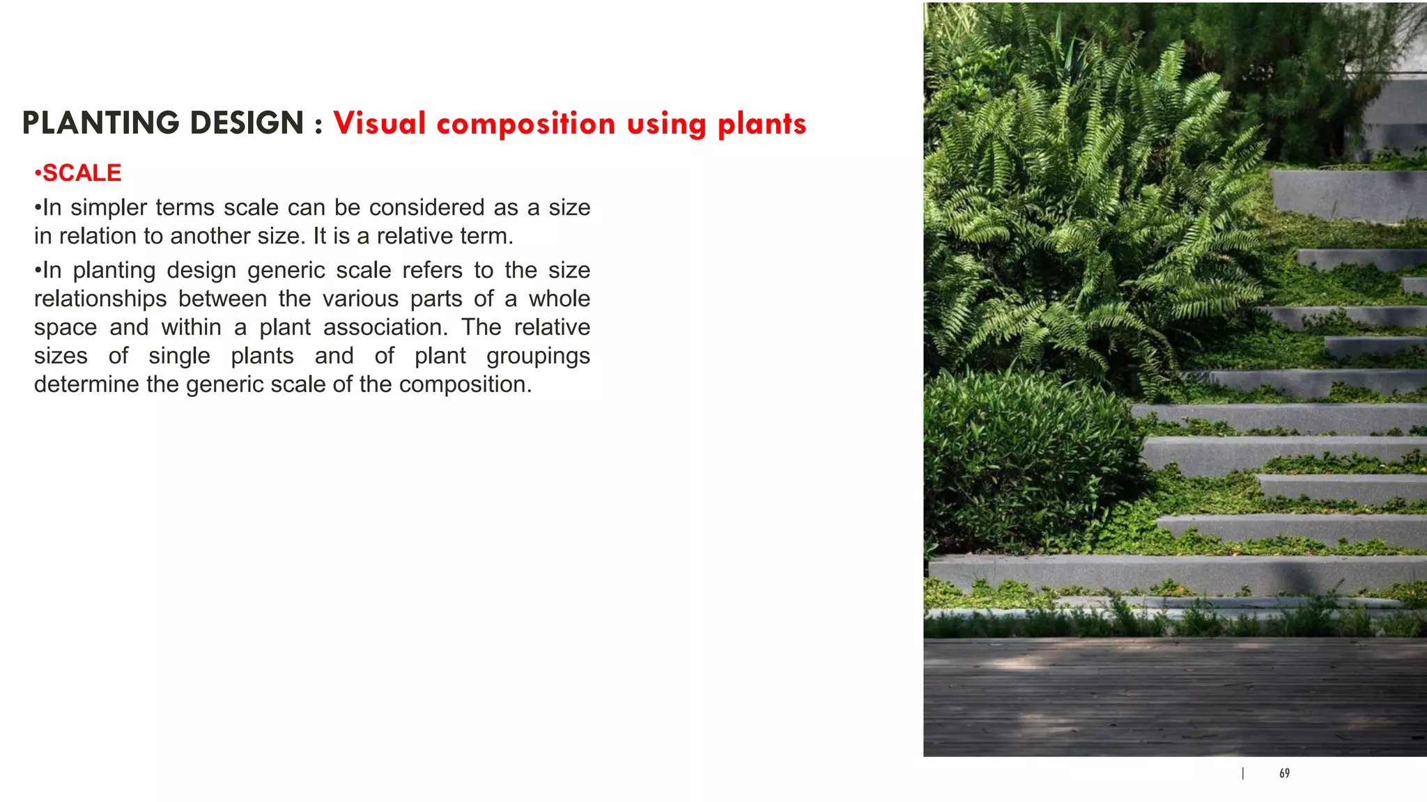 | 69
PLANTING DESIGN : Visual composition using plants
•SCALE
•In simpler terms scale can be considered as a size
in relation to another size. It is a relative term.
•In planting design generic scale refers to the size
relationships between the various parts of a whole
space and within a plant association. The relative
sizes of single plants and of plant groupings
determine the generic scale of the composition.
 