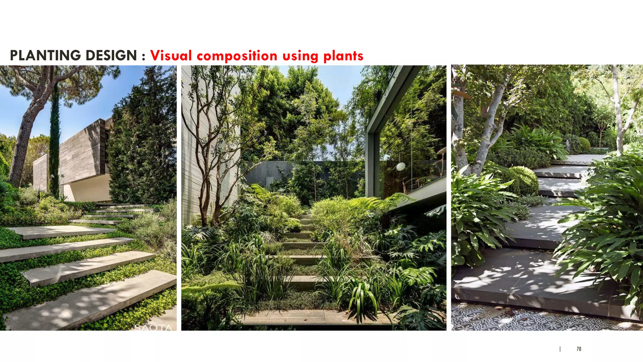 | 70
PLANTING DESIGN : Visual composition using plants
 