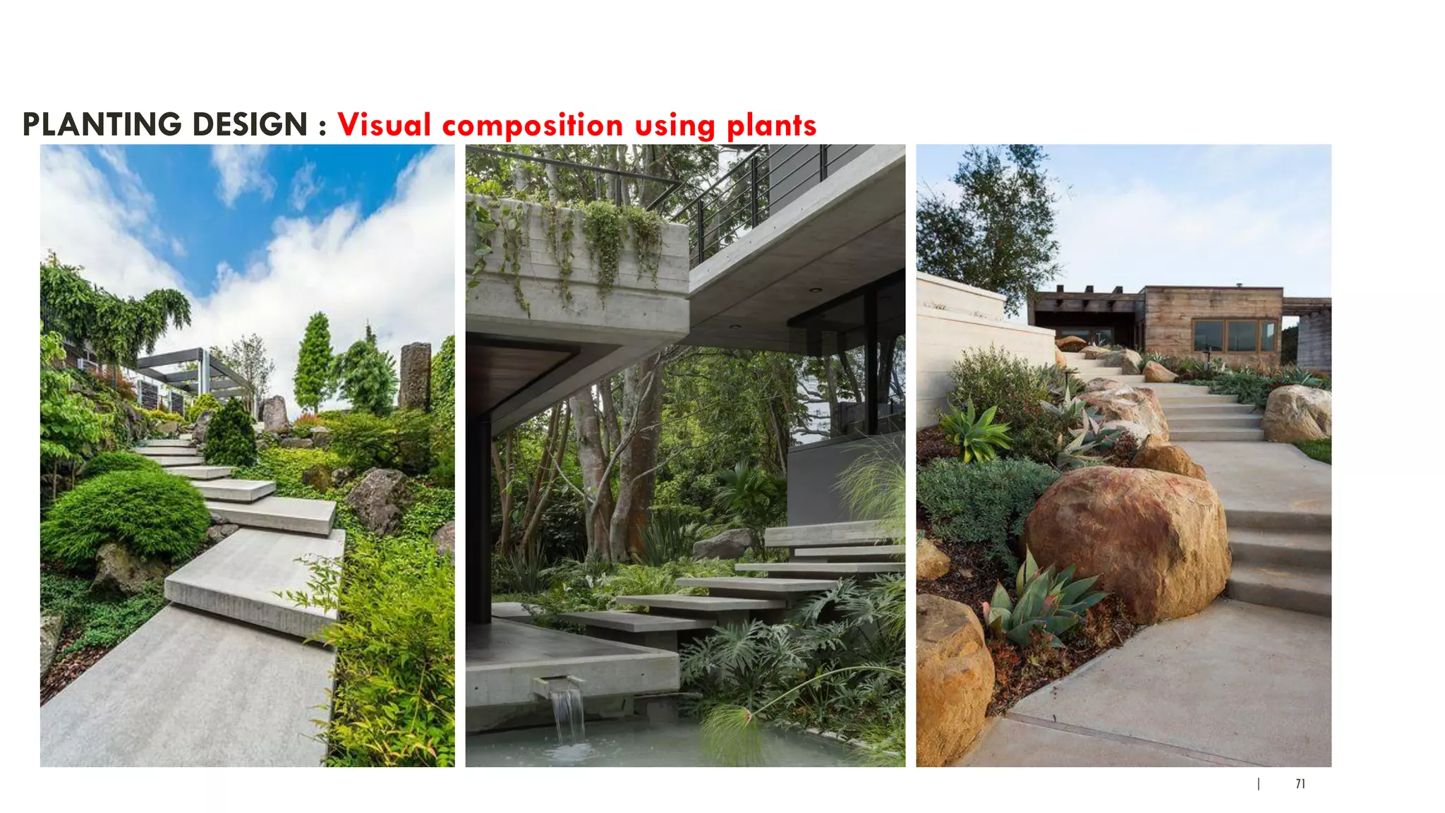 | 71
PLANTING DESIGN : Visual composition using plants
 