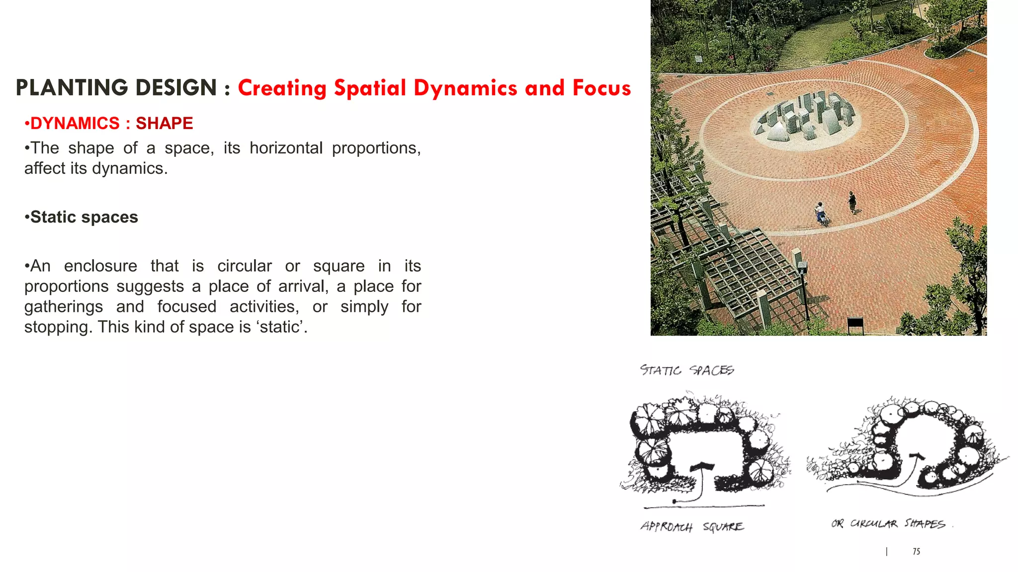 | 75
PLANTING DESIGN : Creating Spatial Dynamics and Focus
•DYNAMICS : SHAPE
•The shape of a space, its horizontal proportions,
affect its dynamics.
•Static spaces
•An enclosure that is circular or square in its
proportions suggests a place of arrival, a place for
gatherings and focused activities, or simply for
stopping. This kind of space is ‘static’.
 